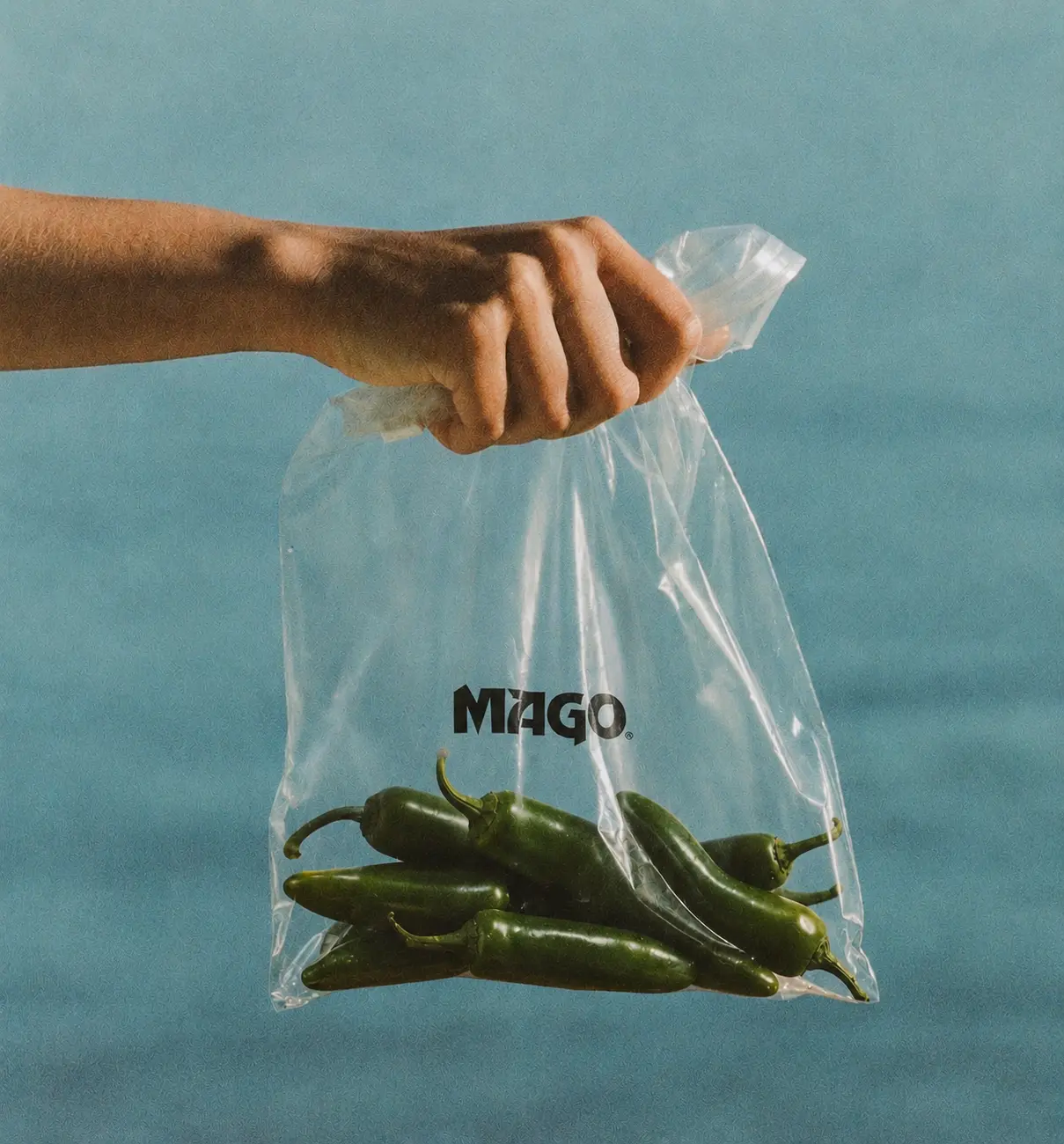 Mago Hot Sauce food pairing